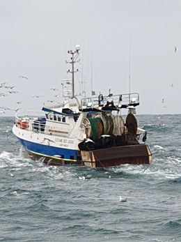 Covid-19 : les pêcheurs bretons naviguent à vue